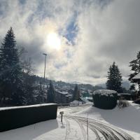 Amborella's view winter