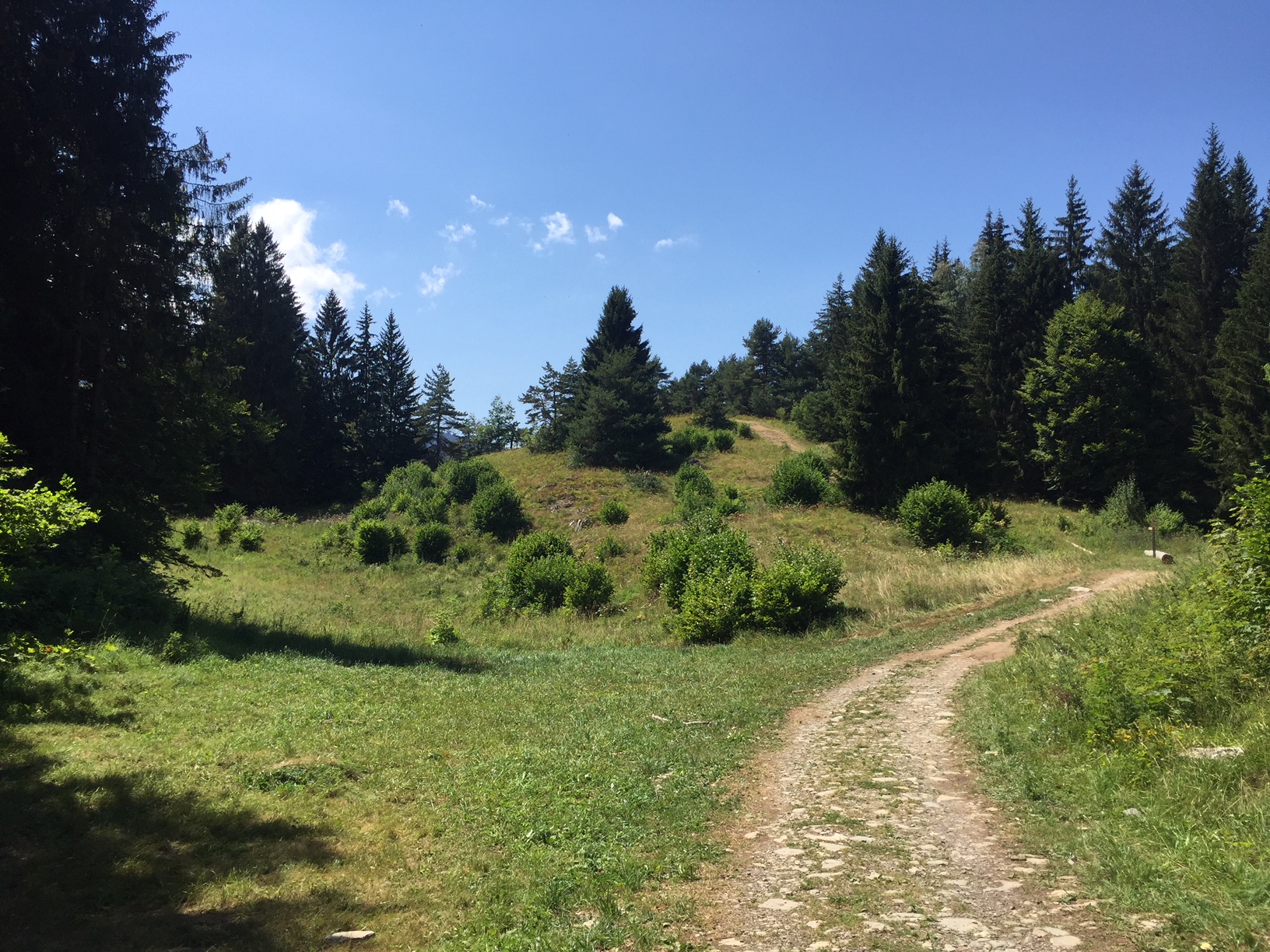 Trail